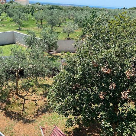 Vacation Home Elba Vodnjan Phòng bức ảnh